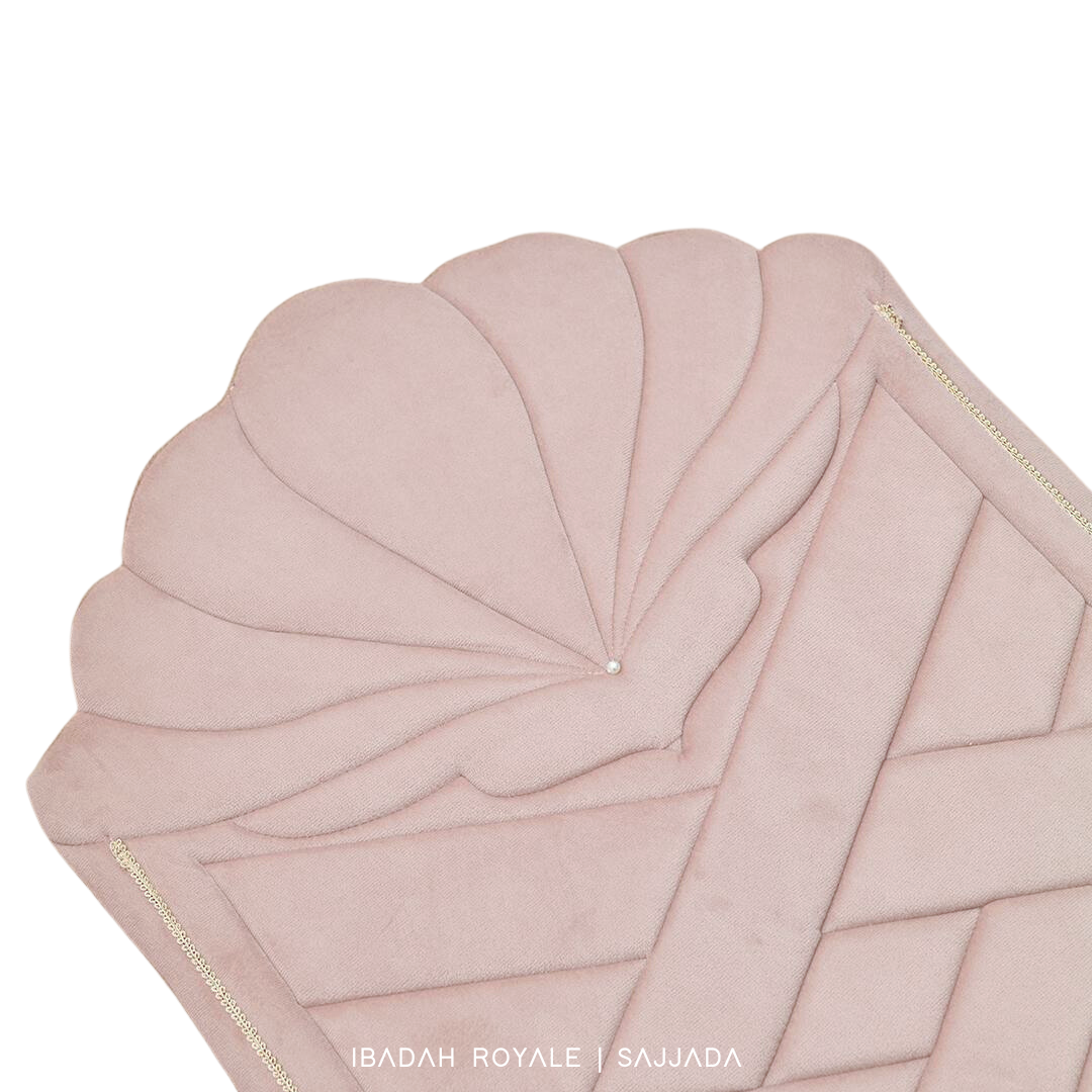 SAJJADA SEASHELL
