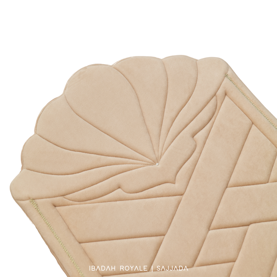 SAJJADA SEASHELL
