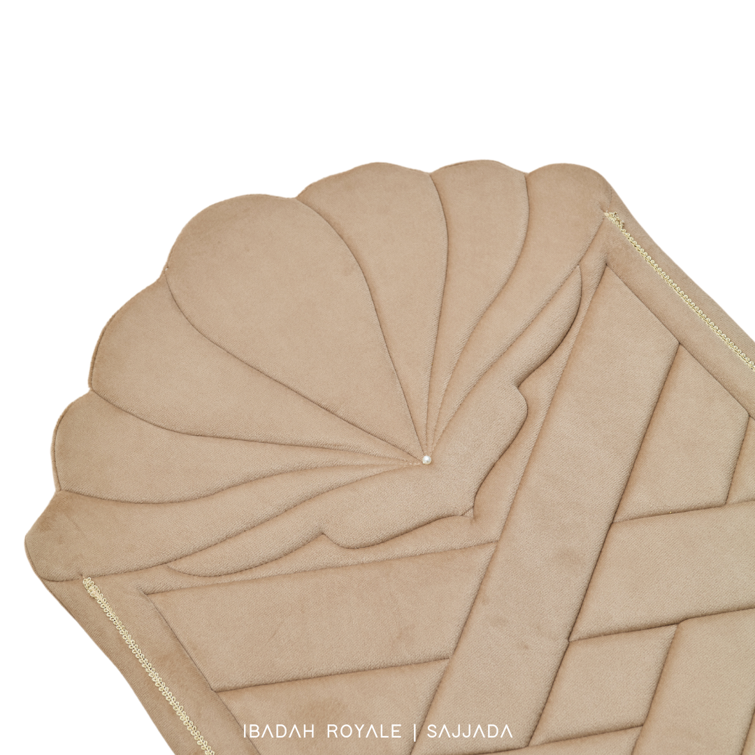 SAJJADA SEASHELL