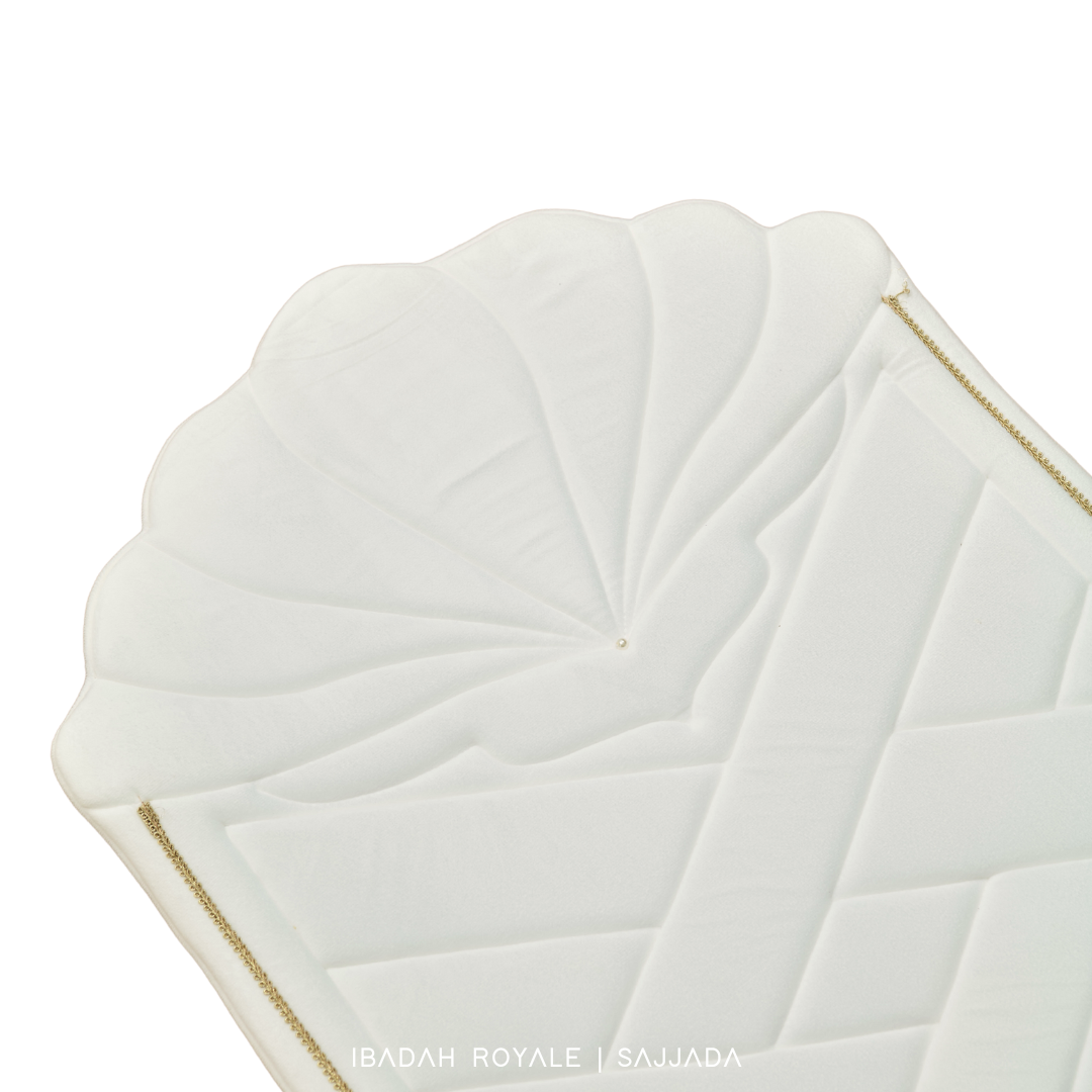 SAJJADA SEASHELL