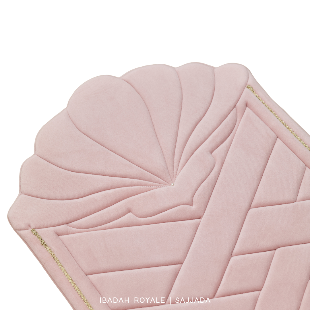 SAJJADA SEASHELL