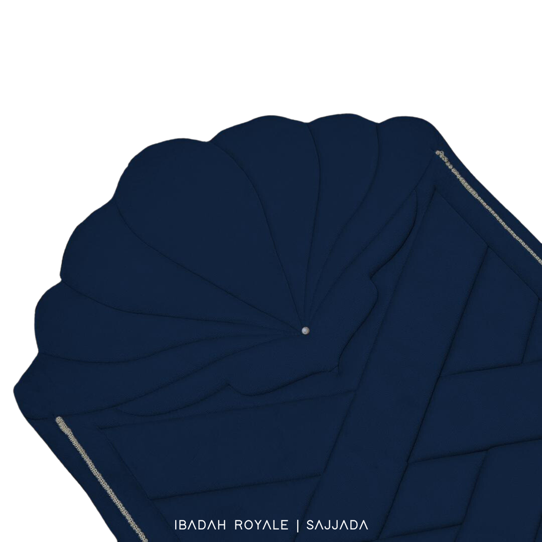 SAJJADA SEASHELL