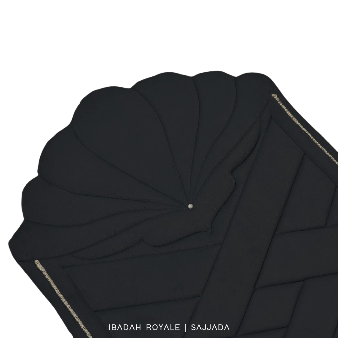 SAJJADA SEASHELL