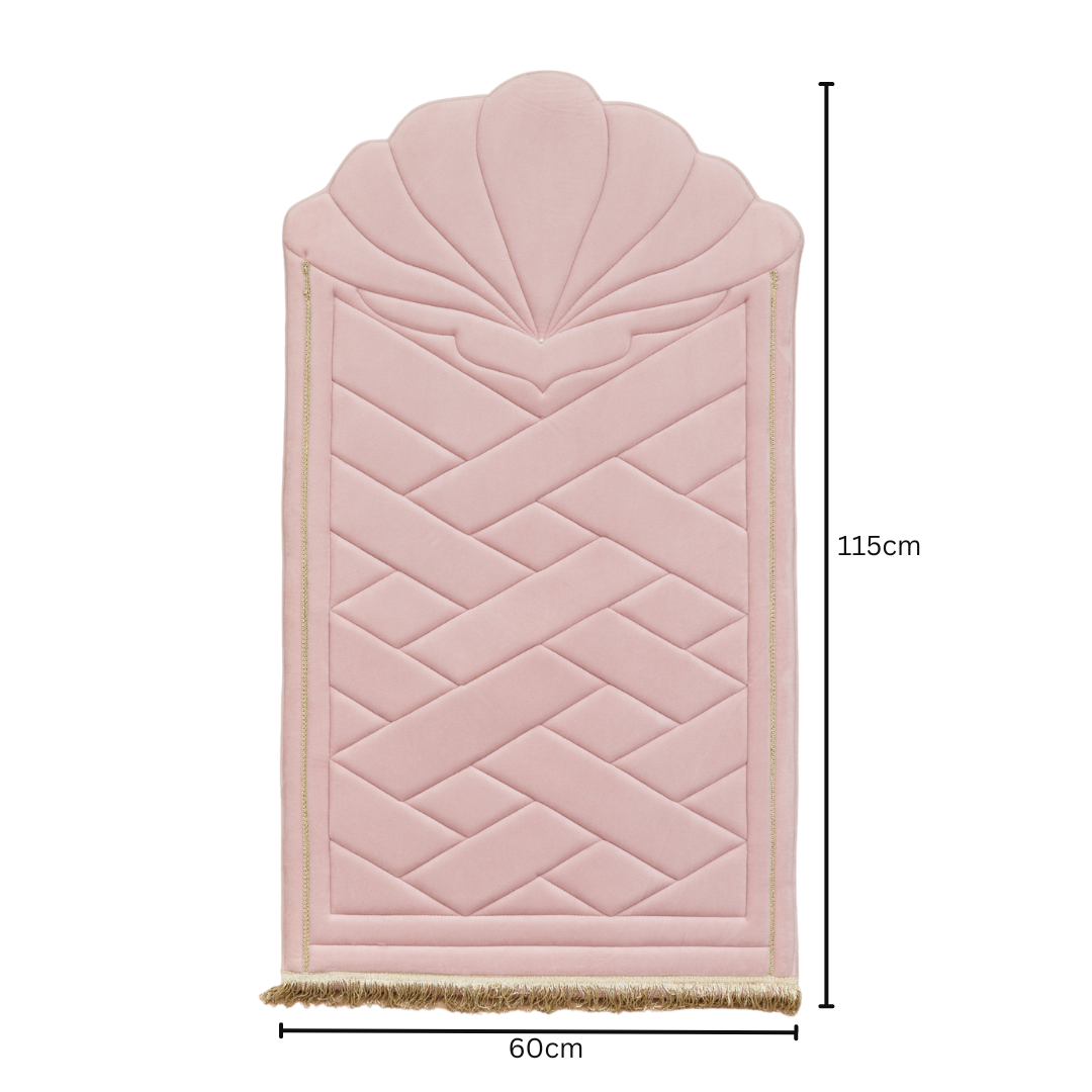 SAJJADA SEASHELL